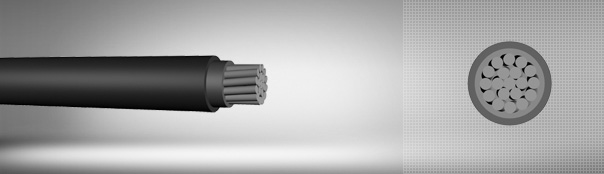 0.6 / 1 kV PVC insulated, single core cables with aluminum conductor 0.6 / 1 kV PVC insulated, single core cables with aluminum conductor