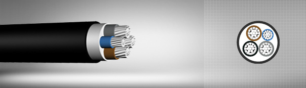 0.6 / 1 kV PVC insulated, multi-core cables with aluminum conductor 0.6 / 1 kV PVC insulated, multi-core cables with aluminum conductor