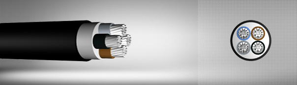 0.6 / 1 kV PVC izoleli, çok damarlı, alüminyum iletkenli kablolar 0.6 / 1 kV PVC izoleli, çok damarlı, alüminyum iletkenli kablolar