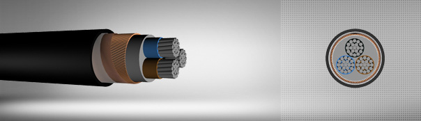 0.6 / 1 kV PVC insulated, high conductive, multi-core cables with aluminum conductor 0.6 / 1 kV PVC insulated, high conductive, multi-core cables with aluminum conductor