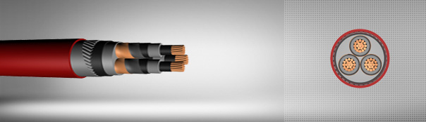 3.6 / 6 kV XLPE insulated round steel wire armored, three core cables with copper conductor 3.6 / 6 kV XLPE insulated round steel wire armored, three core cables with copper conductor