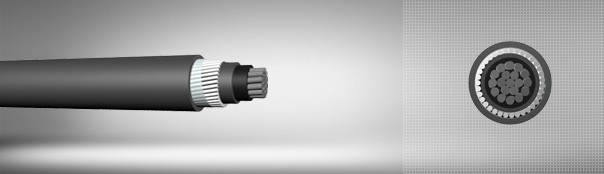 0.6 / 1 kV PVC insulated, round steel wire armored, single core cables with aluminum conductor 0.6 / 1 kV PVC insulated, round steel wire armored, single core cables with aluminum conductor