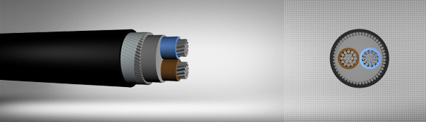 0.6 / 1 kV PVC insulated, round steel wire armored, multi-core cables with aluminum conductor 0.6 / 1 kV PVC insulated, round steel wire armored, multi-core cables with aluminum conductor