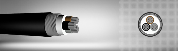 0.6 / 1 kV PVC insulated, round steel wire armored, multi-core cables with aluminum conductor 0.6 / 1 kV PVC insulated, round steel wire armored, multi-core cables with aluminum conductor