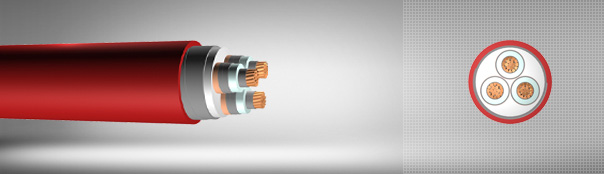 5.8 / 10 kV or 6.35 / 11 kV XLPE insulated double steel tape armored, three core cables with copper conductor 5.8 / 10 kV or 6.35 / 11 kV XLPE insulated double steel tape armored, three core cables with copper conductor