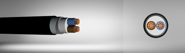 0.6/1 kV PVC izoleli, yuvarlak çelik tel zırhlı, çok damarlı, bakır iletkenli kablolar 0.6/1 kV PVC izoleli, yuvarlak çelik tel zırhlı, çok damarlı, bakır iletkenli kablolar