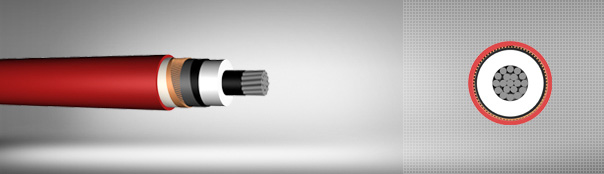 3.6 / 6 kV XLPE insulated single core cables with aluminum conductor 3.6 / 6 kV XLPE insulated single core cables with aluminum conductor