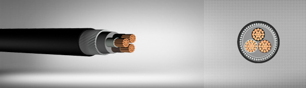0.6 / 1 kV XLPE insulated round steel wire armored, multi-core cables with copper conductor 0.6 / 1 kV XLPE insulated round steel wire armored, multi-core cables with copper conductor