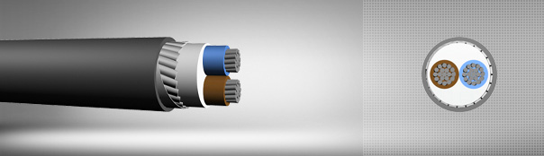 0.6/1 kV PVC izoleli, yassı çelik tel zırhlı, çok damarlı, alüminyum iletkenli kablolar 0.6/1 kV PVC izoleli, yassı çelik tel zırhlı, çok damarlı, alüminyum iletkenli kablolar