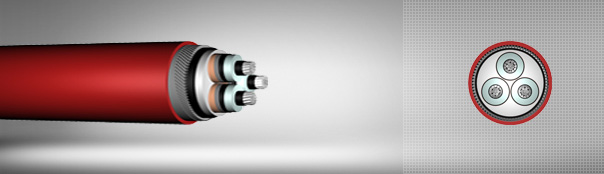 5.8/10 kV XLPE izoleli, yuvarlak çelik tel zırhlı, üç damarlı, alüminyum iletkenli kablolar 5.8/10 kV XLPE izoleli, yuvarlak çelik tel zırhlı, üç damarlı, alüminyum iletkenli kablolar
