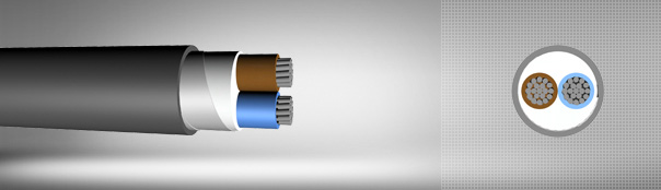 0.6 / 1 kV PVC insulated, double steel tape armored, multi-core cables with aluminum conductor 0.6 / 1 kV PVC insulated, double steel tape armored, multi-core cables with aluminum conductor