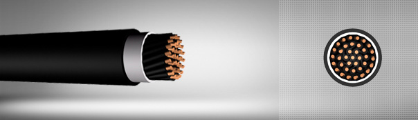 0.6 / 1 kV XLPE insulated control cables with copper conductors 0.6 / 1 kV XLPE insulated control cables with copper conductors