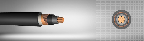 0.6 / 1 kV XLPE insulated, concentric conductor, single core cables with copper conductor 0.6 / 1 kV XLPE insulated, concentric conductor, single core cables with copper conductor