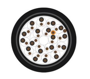 RE-Y(St)YQY-fl RE-Y(St)YQY-fl