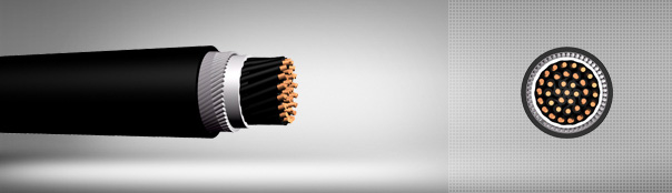 0.6 / 1 kV XLPE Insulated Round Wire Armored Copper Conductor Control Cables 0.6 / 1 kV XLPE Insulated Round Wire Armored Copper Conductor Control Cables