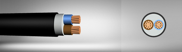 0.6 / 1 kV PVC insulated, multi-core cables with copper conductor