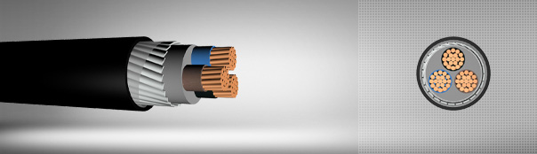 0.6 / 1 kV XLPE insulated, flat steel wire armored, multi-core cables with copper conductor 0.6 / 1 kV XLPE insulated, flat steel wire armored, multi-core cables with copper conductor