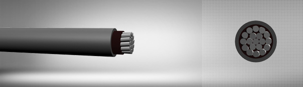 0.6 / 1 kV XLPE insulated single core cables with aluminum conductor 0.6 / 1 kV XLPE insulated single core cables with aluminum conductor