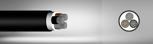 0.6 / 1 kV XLPE insulated multi-core cables with aluminum conductor