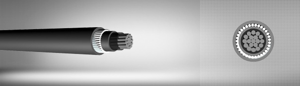 0.6 / 1 kV XLPE insulated round steel wire armored, single core cables with aluminum conductor 0.6 / 1 kV XLPE insulated round steel wire armored, single core cables with aluminum conductor