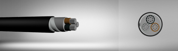 0.6/1 kV XLPE izoleli, çift kat çelik bant zırhlı çok damarlı, alüminyum iletkenli kablolar 0.6/1 kV XLPE izoleli, çift kat çelik bant zırhlı çok damarlı, alüminyum iletkenli kablolar