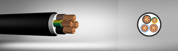 0.6 / 1 kV PVC insulated, multi-core cables with copper conductor