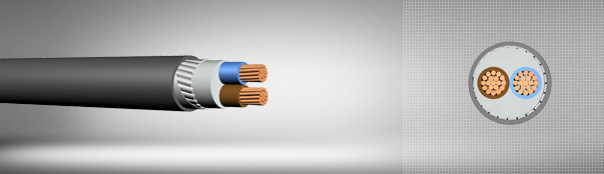 0.6 / 1 kV PVC insulated, flat steel wire armored, multi-core cables with copper conductor 0.6 / 1 kV PVC insulated, flat steel wire armored, multi-core cables with copper conductor
