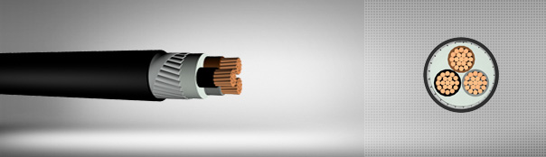 0.6 / 1 kV PVC insulated, flat steel wire armored, multi-core cables with copper conductor 0.6 / 1 kV PVC insulated, flat steel wire armored, multi-core cables with copper conductor