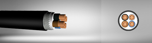 0.6/1 kV PVC izoleli, yassı çelik tel zırhlı, çok damarlı, bakır iletkenli kablolar 0.6/1 kV PVC izoleli, yassı çelik tel zırhlı, çok damarlı, bakır iletkenli kablolar